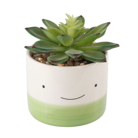 Marshalls Other - Marshalls • Happy Face Succulent